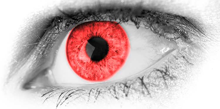 Servicios Ópticos Centro Auditivo Modalent